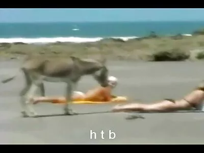 Barna tökéletes nagy cicik ugrik videó pornó a farkam